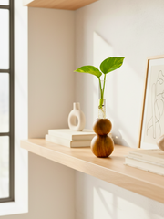 Double Ball Planter - Premium Rosewood & Borosilicate Glass Tube